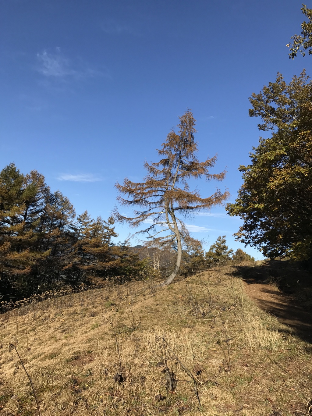 雲取山
