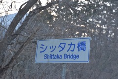 シッタカ？