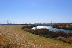 流れる川