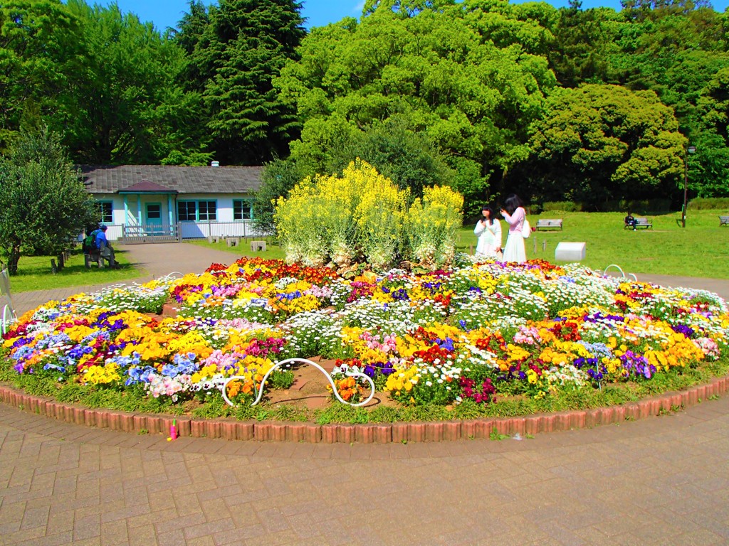 花