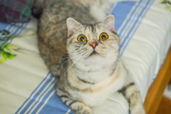 P7203020