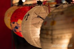 _MG_0906