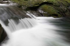 _IGP7091