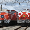 DD51-897とDD51-842