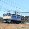 配8592