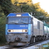 5462