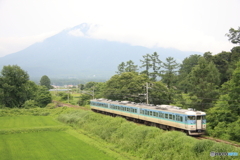 325M