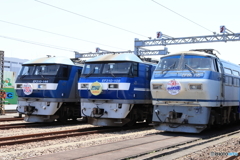 大井機関区50周年記念展示車両