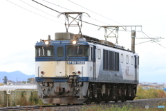 単8560