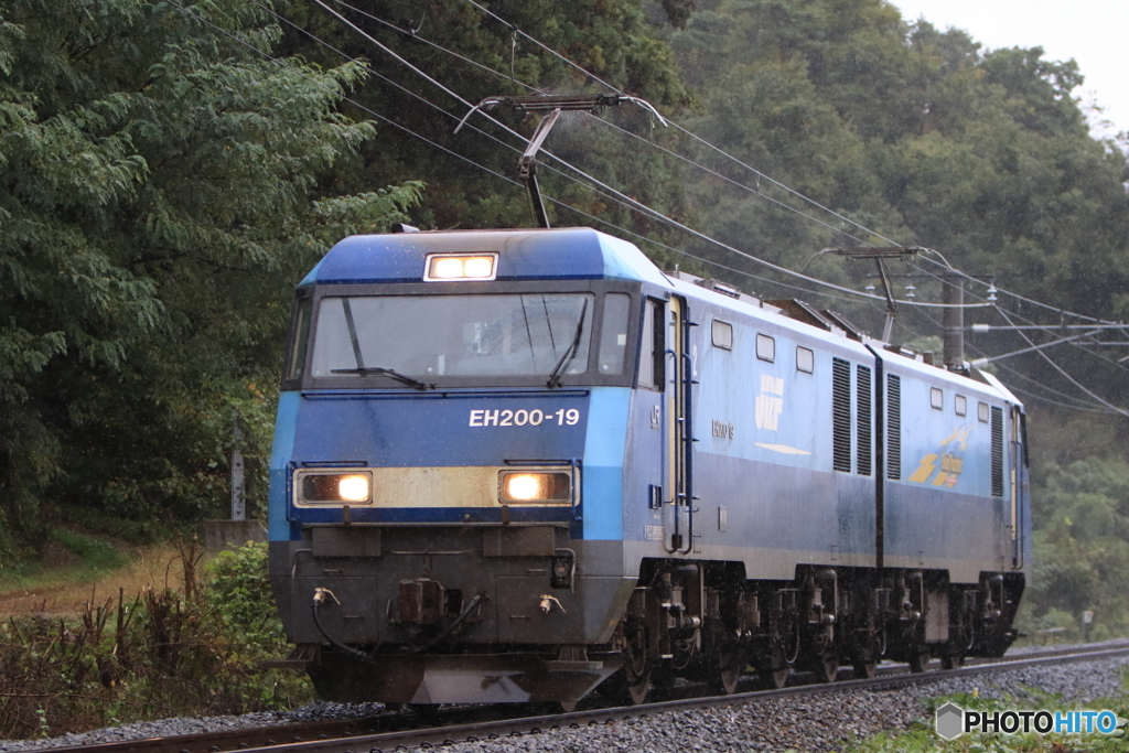単8560