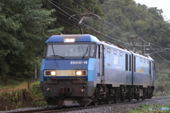 単8560