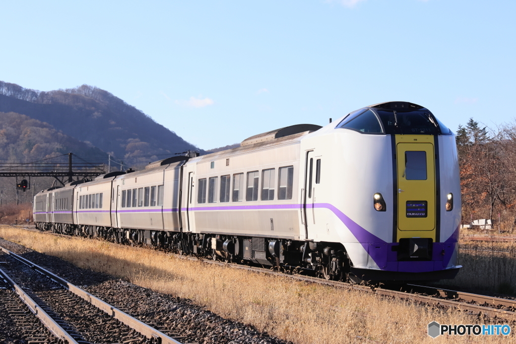 6005D