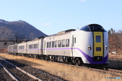 6005D