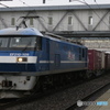 1250