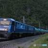 5462