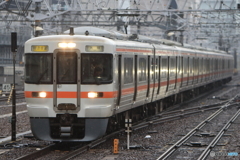 313系特別快速