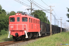 7205