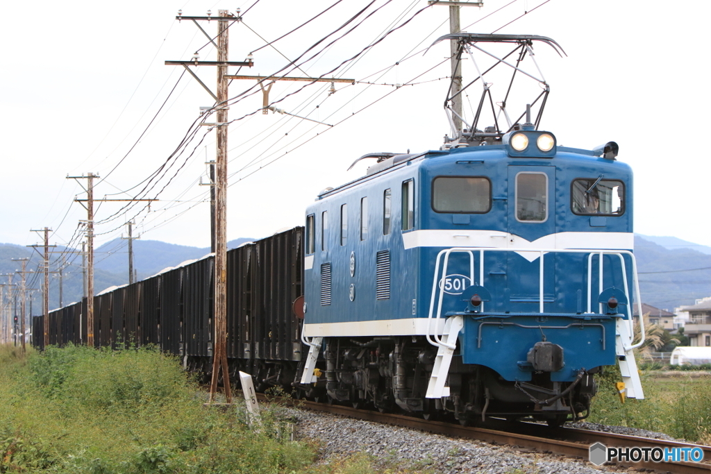 7006