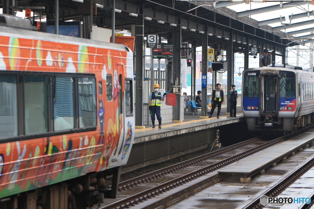 5006Dと36D