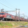 3074