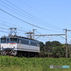 配8584
