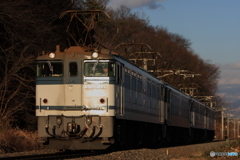5462