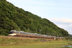 1019M