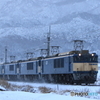単8087