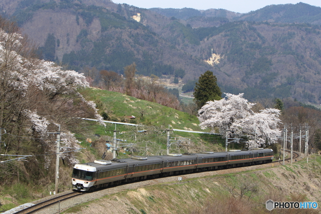 1008M
