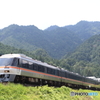 1028D