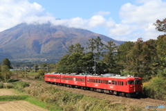328M
