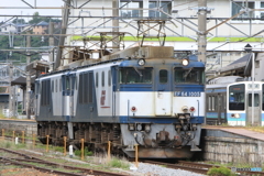 8087