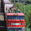 4060