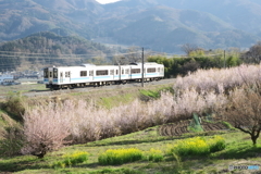 2245M