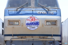 EF66-116