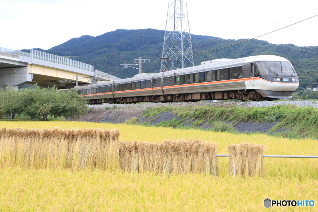 1009M