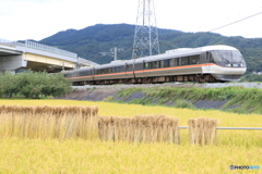 1009M