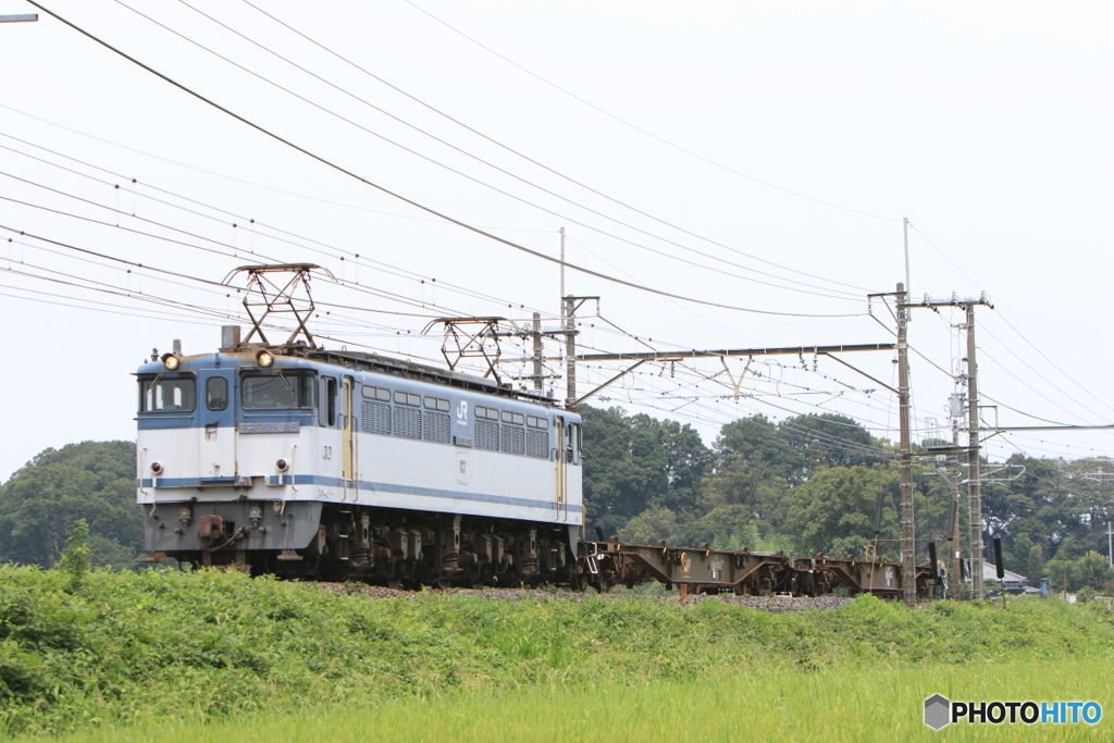 配8584