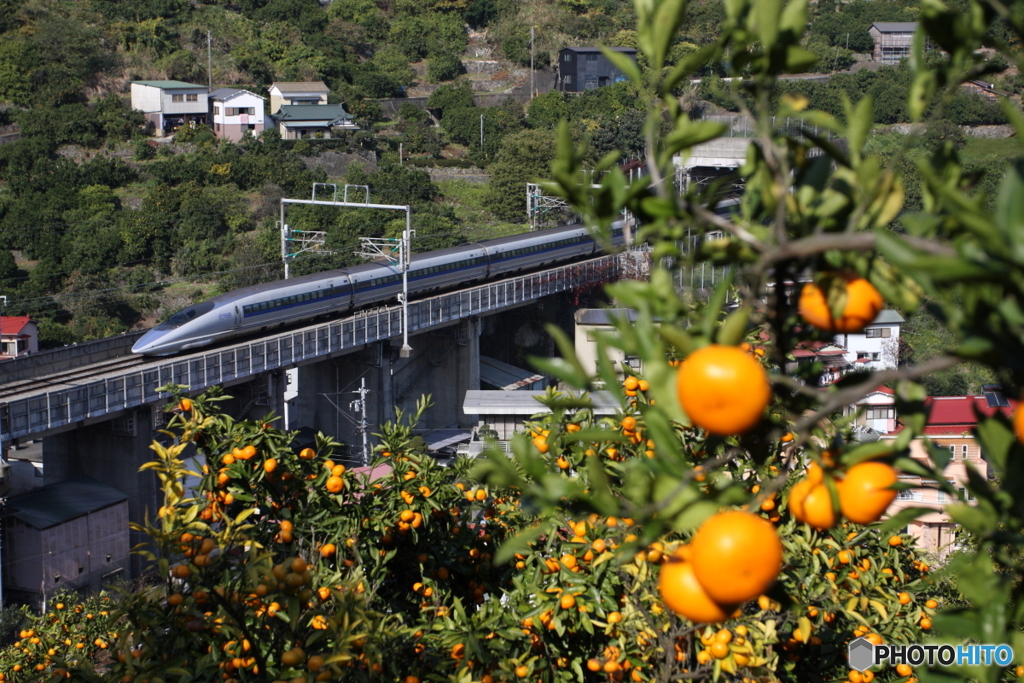 石橋橋梁新幹線上り 6A
