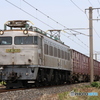 4081