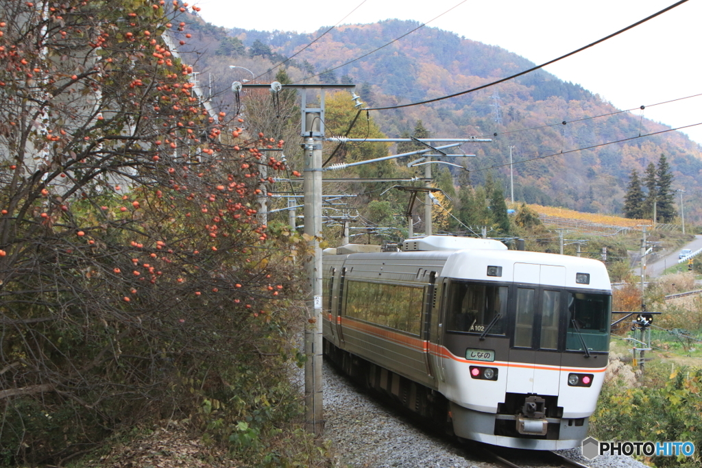 1007M