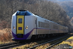 7D