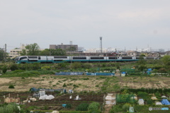 251系