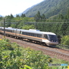 1005M