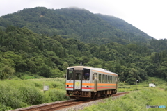 431D