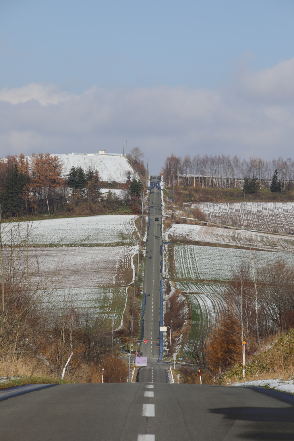 美瑛ジェットコースターの路1