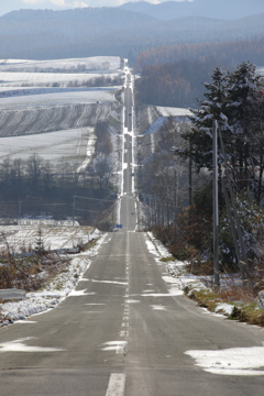 美瑛ジェットコースターの路2