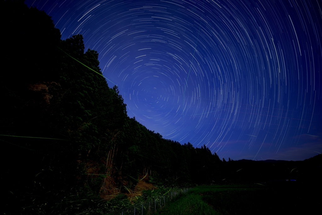 地上の天の川