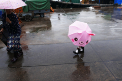 雨♪