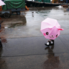 雨♪